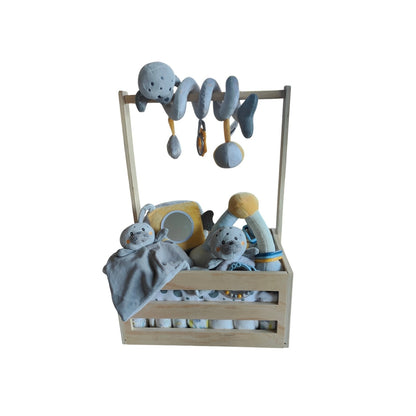 Seally Activiteitenset in Houten Box – Compleet, Zacht & Speels